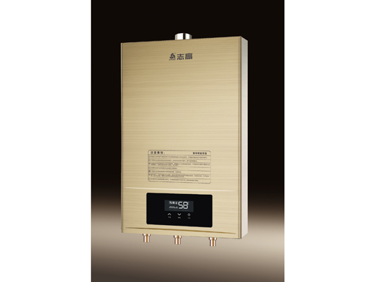 z6com尊龙凯时官网智能安全保护强排燃气热水器